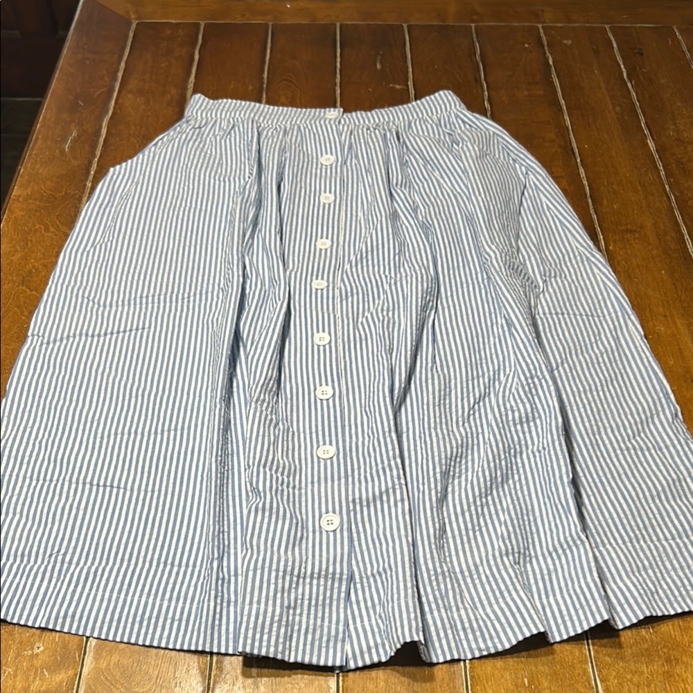 Blue and White Striped A-Line Button-Front Skirt